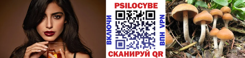 Купить где  Сургут  Псилоцибиновые грибы мухоморы 