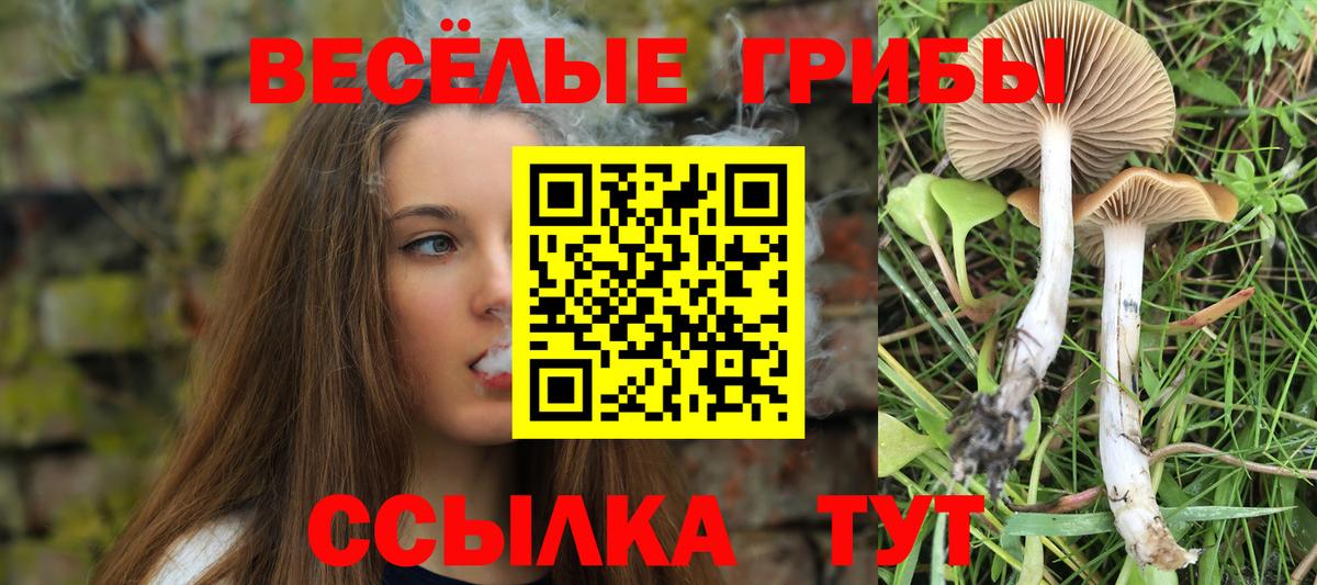 Сургут  Псилоцибиновые грибы Cubensis  Псилоцибиновые грибы GOLDEN TEACHER  Вход с VPN 