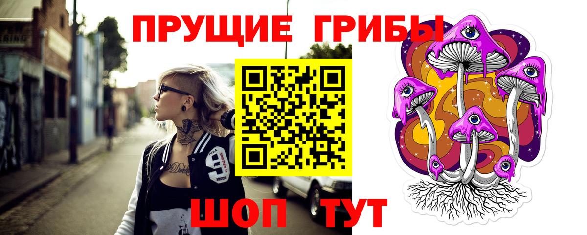 Галлюциногенные грибы Psilocybine cubensis Сургут