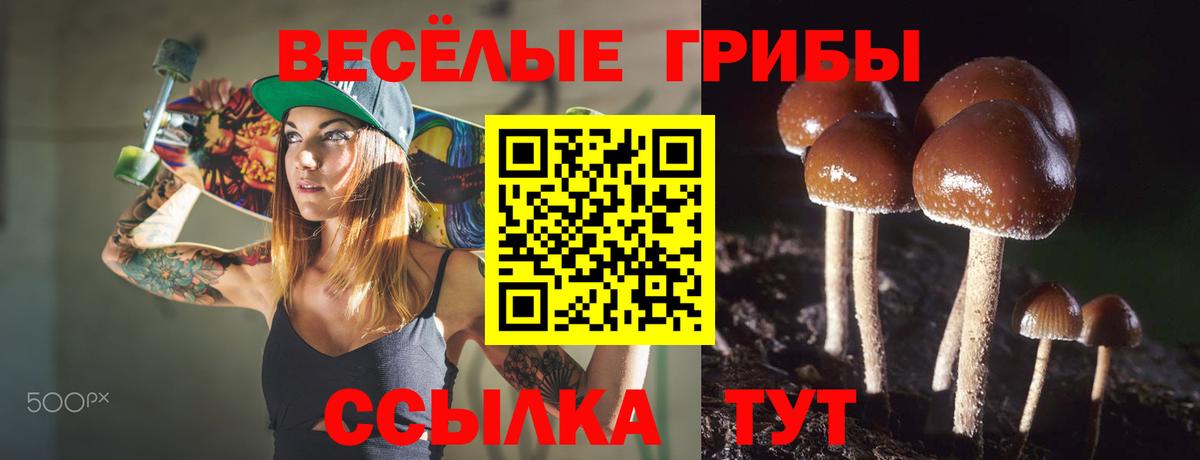 Псилоцибиновые грибы GOLDEN TEACHER  Сургут 