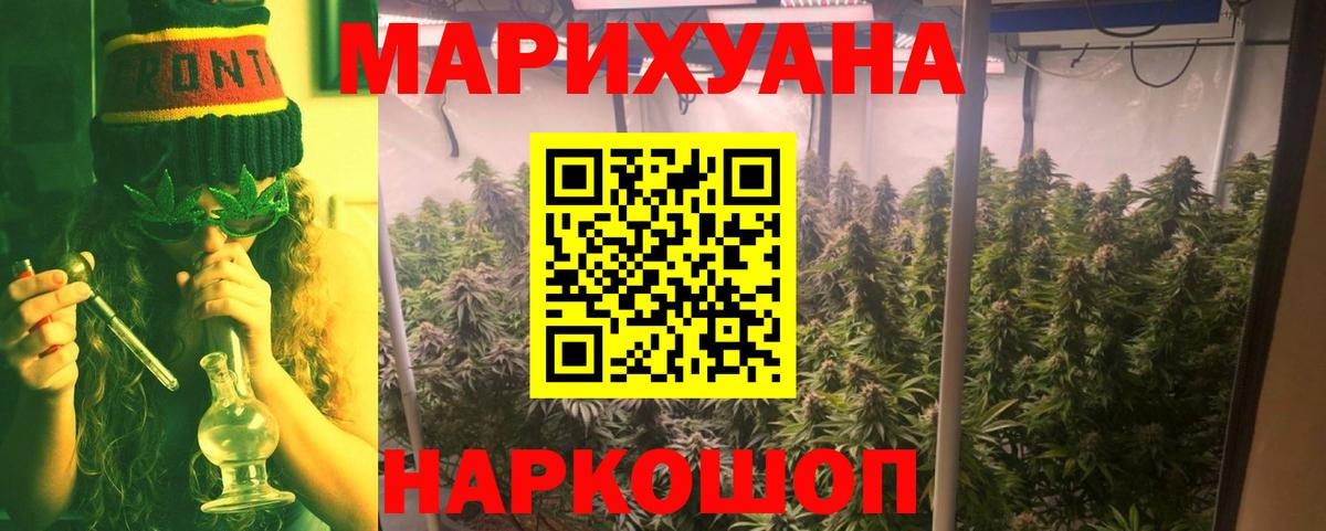 Каннабис OG Kush Сургут